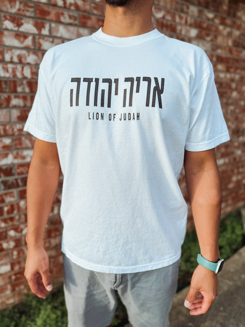 Lion of Judah Men’s TShirt